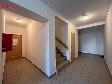 2627844.jpg