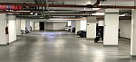 2753719.jpg