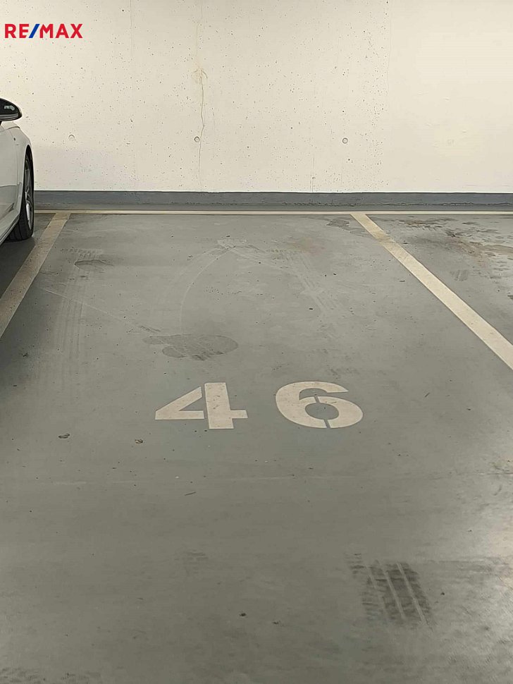 2753721.jpg