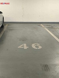 2753721.jpg