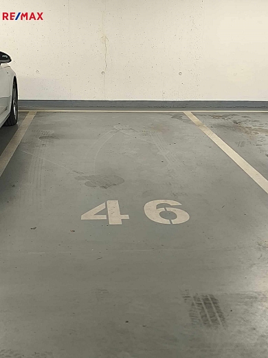 2753721.jpg