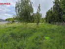 2802901.jpg