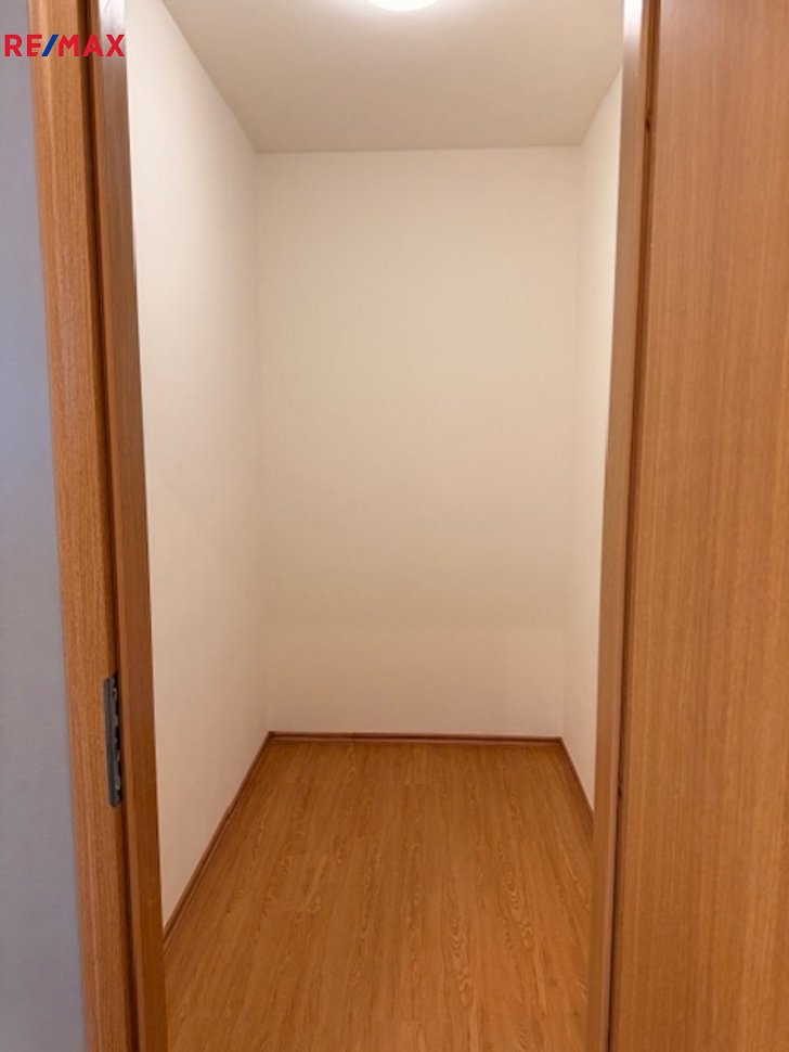 2905344.jpeg
