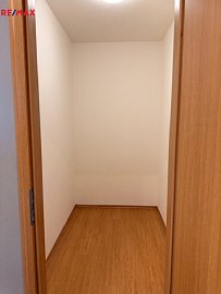 2905344.jpeg