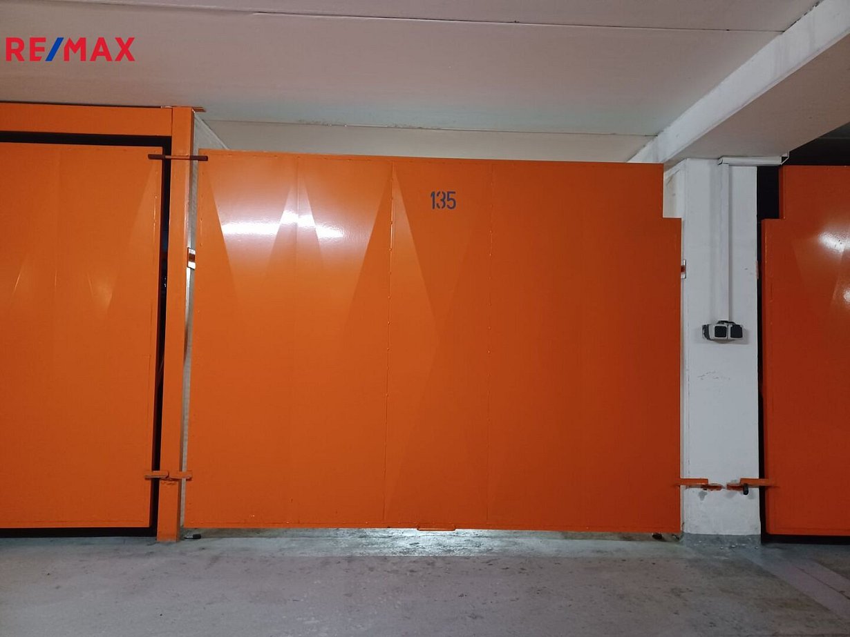3012449.jpg