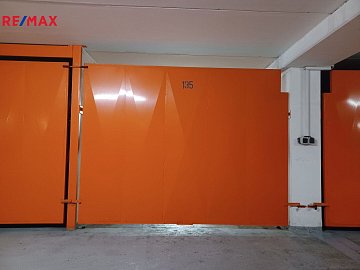 3012449.jpg
