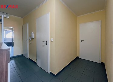 3038800.jpg