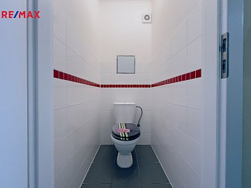 3038813.jpg