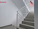 3038817.jpg