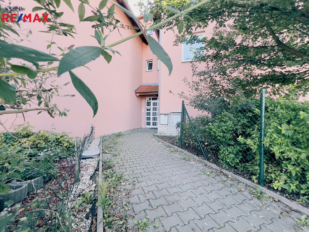 3038815.jpg